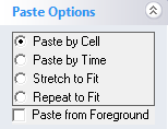 PasteOptionsSupbanel